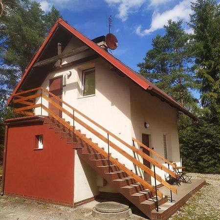 Domek Na Kaszubach Konarzyny Екстер'єр фото